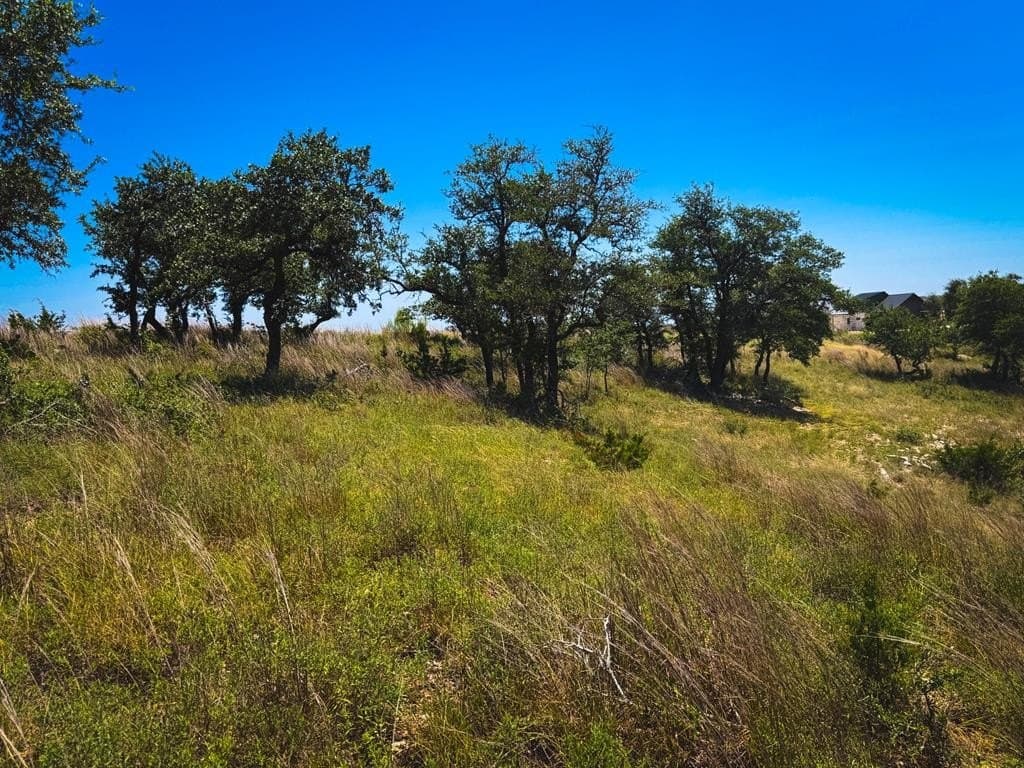 5.34 acres in Blanco County - photo 22