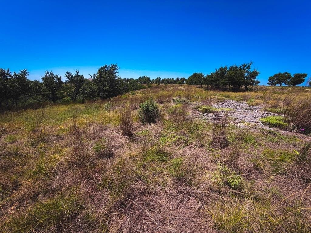 5.34 acres in Blanco County - photo 25