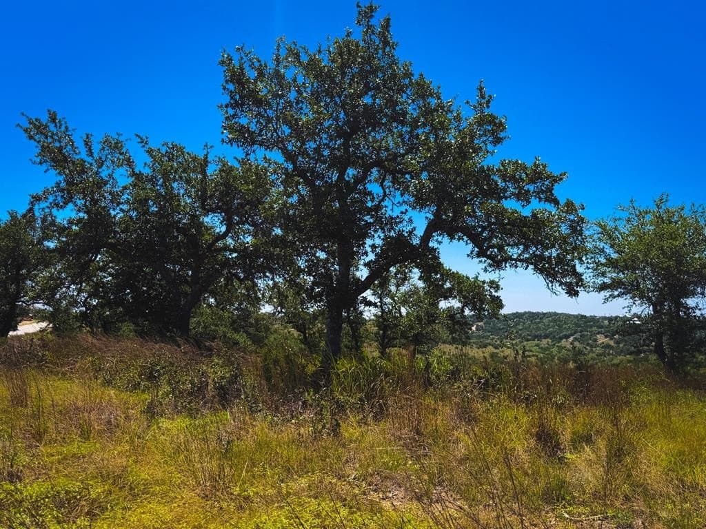 5.34 acres in Blanco County - photo 14
