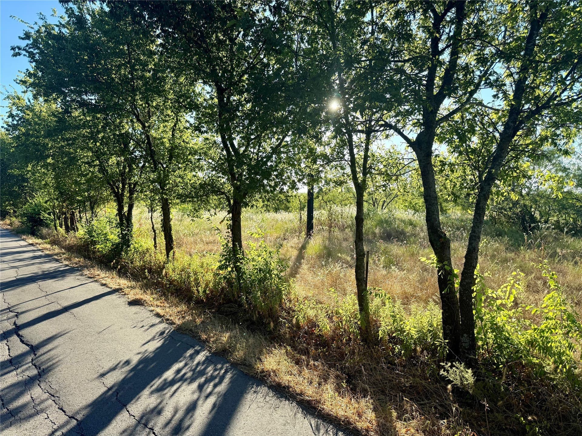 10 acres in Kaufman County - photo 4