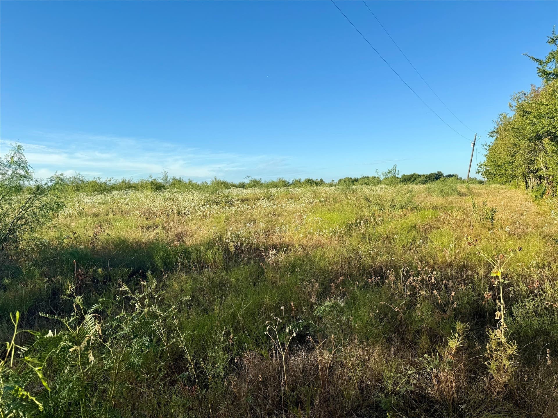 10 acres in Kaufman County - photo 5