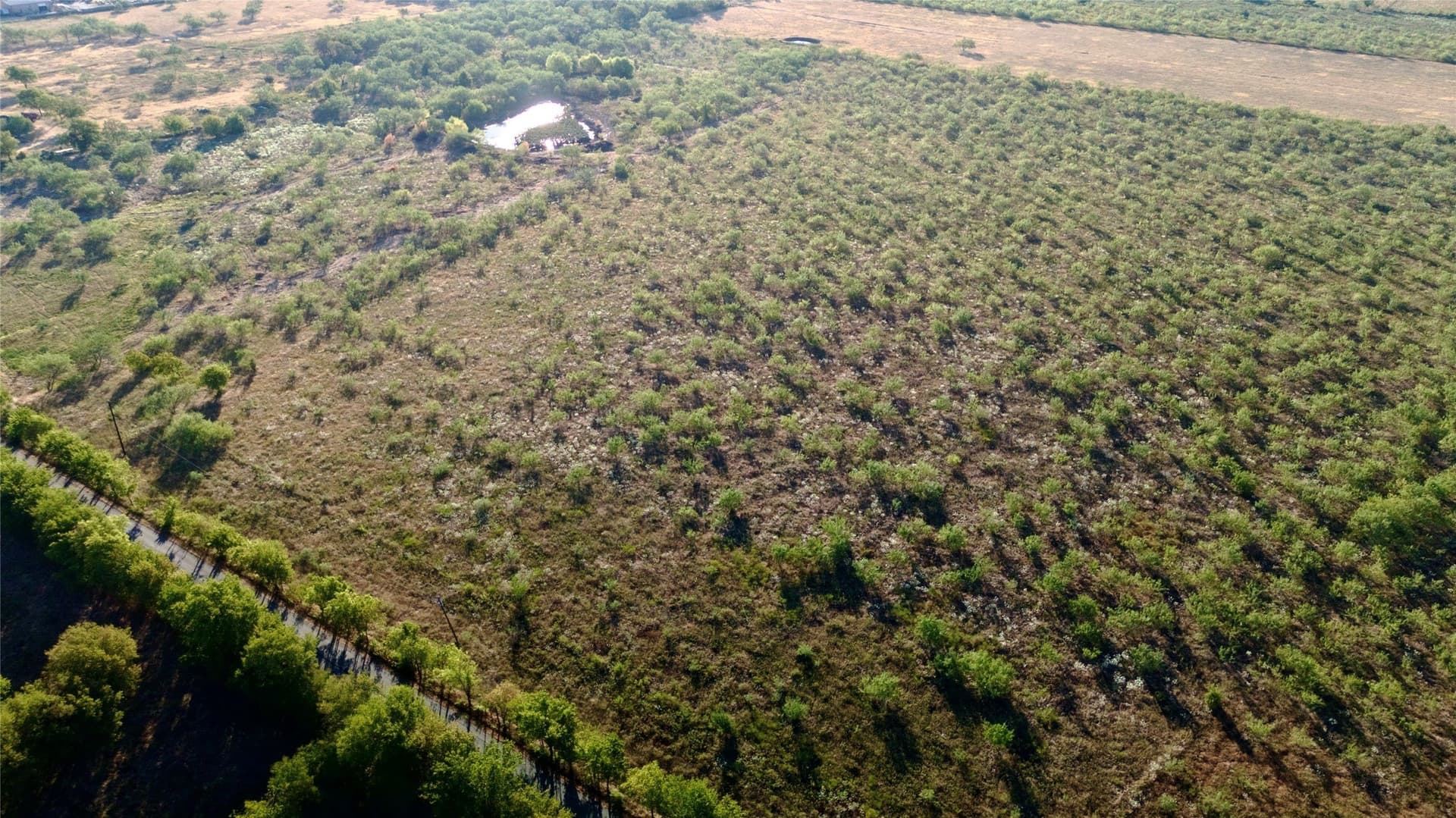 10 acres in Kaufman County - photo 9