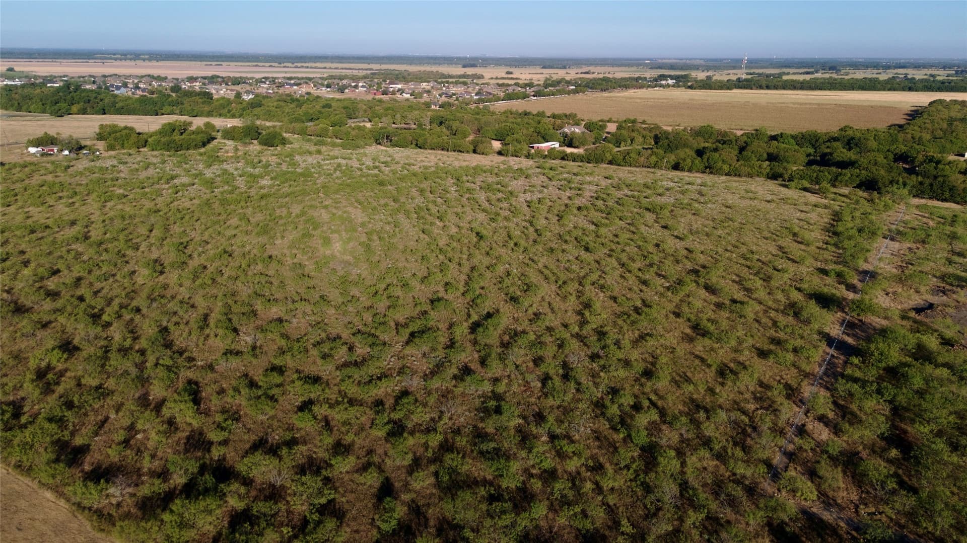 10 acres in Kaufman County - photo 25