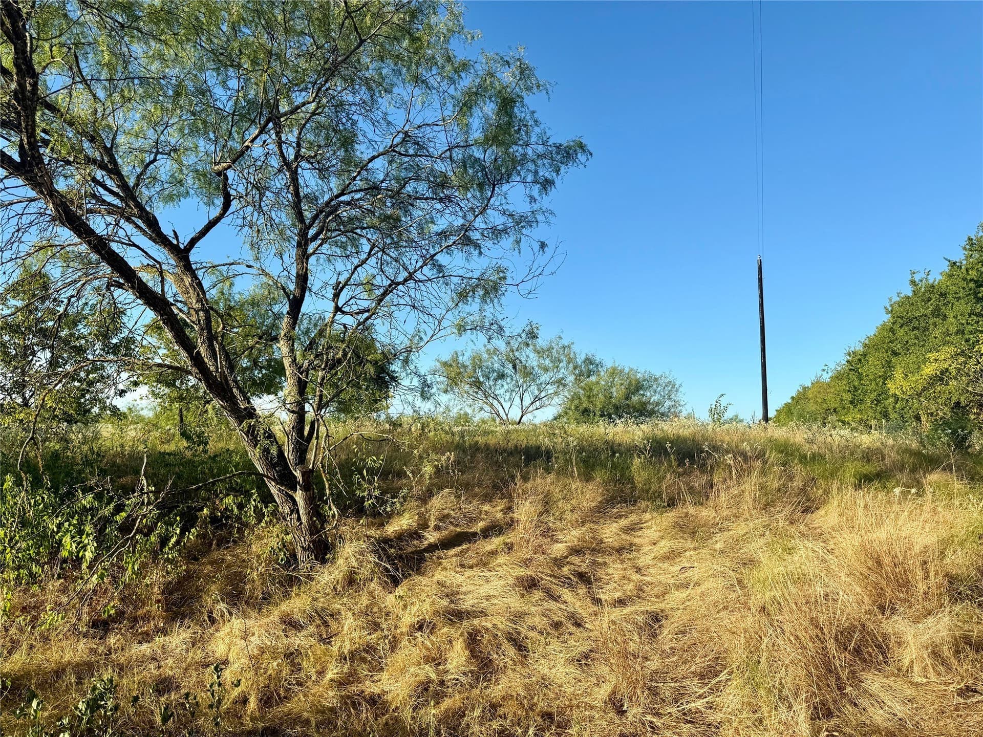 10 acres in Kaufman County - photo 15