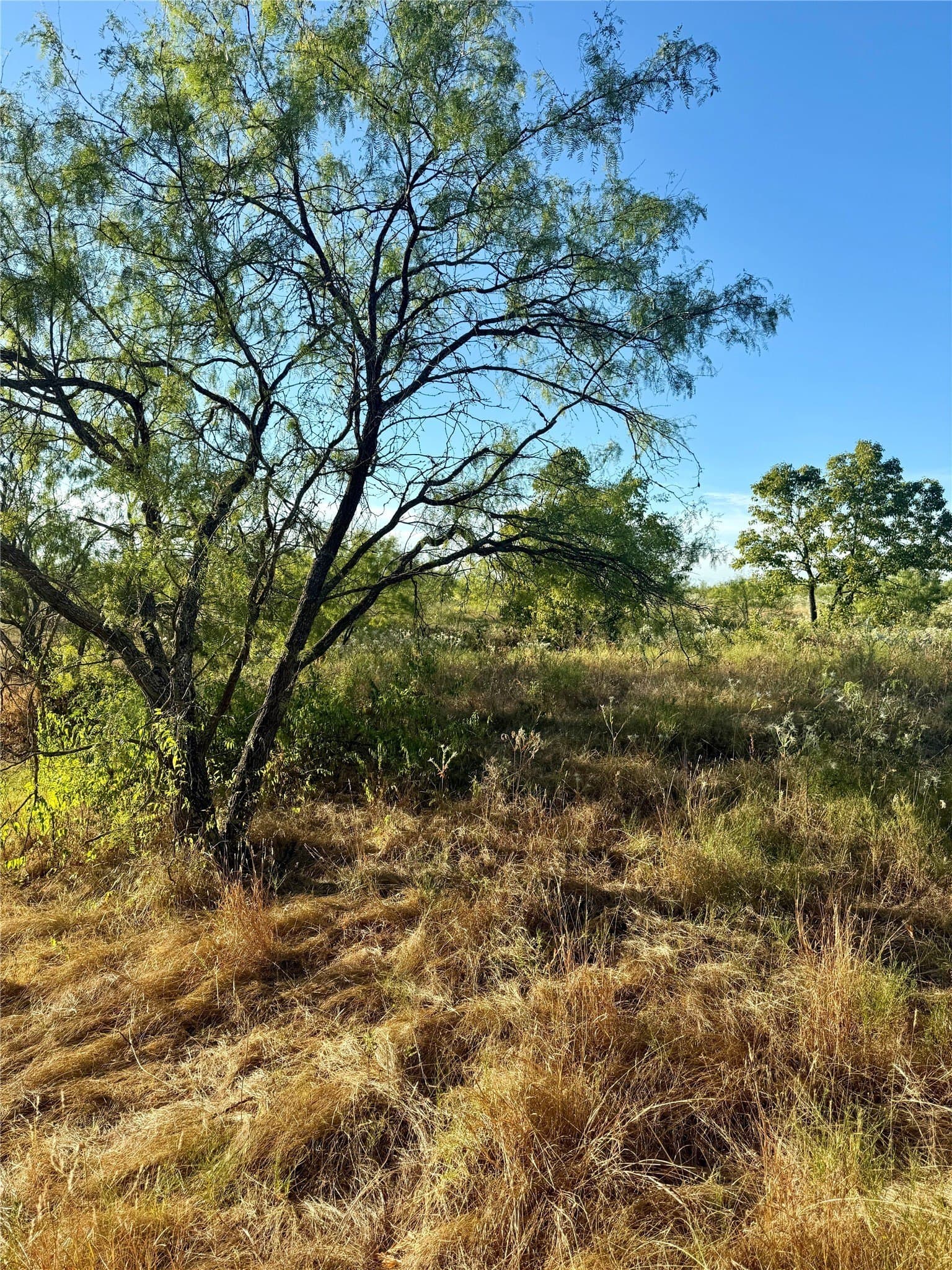 10 acres in Kaufman County - photo 7