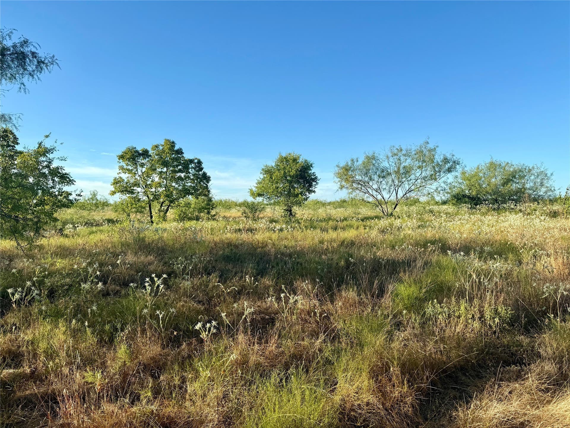 10 acres in Kaufman County - photo 3
