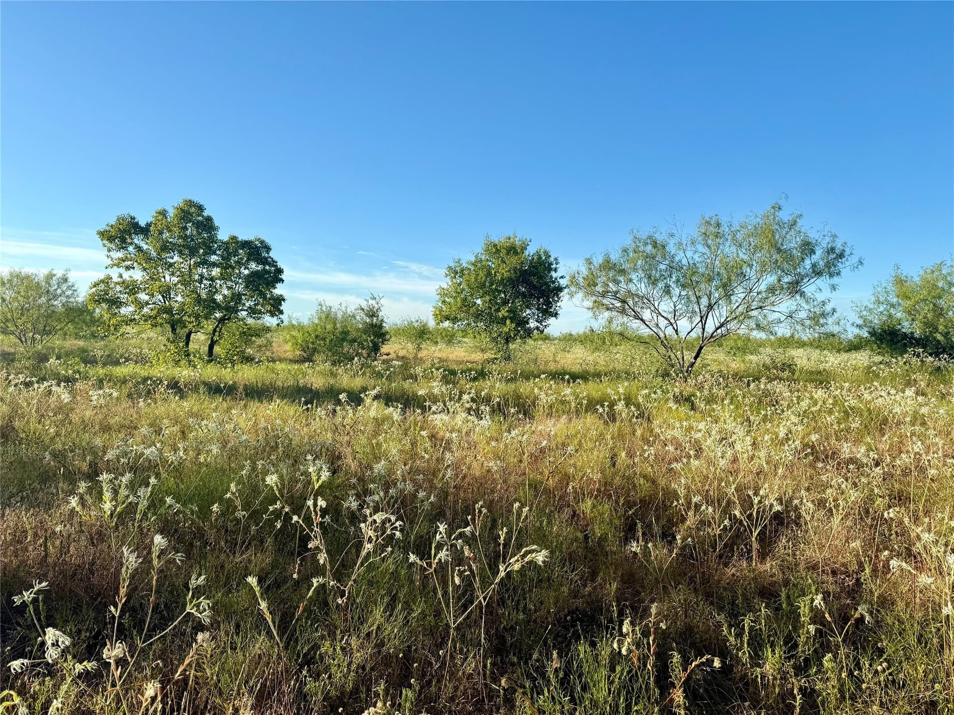 10 acres in Kaufman County - photo 6
