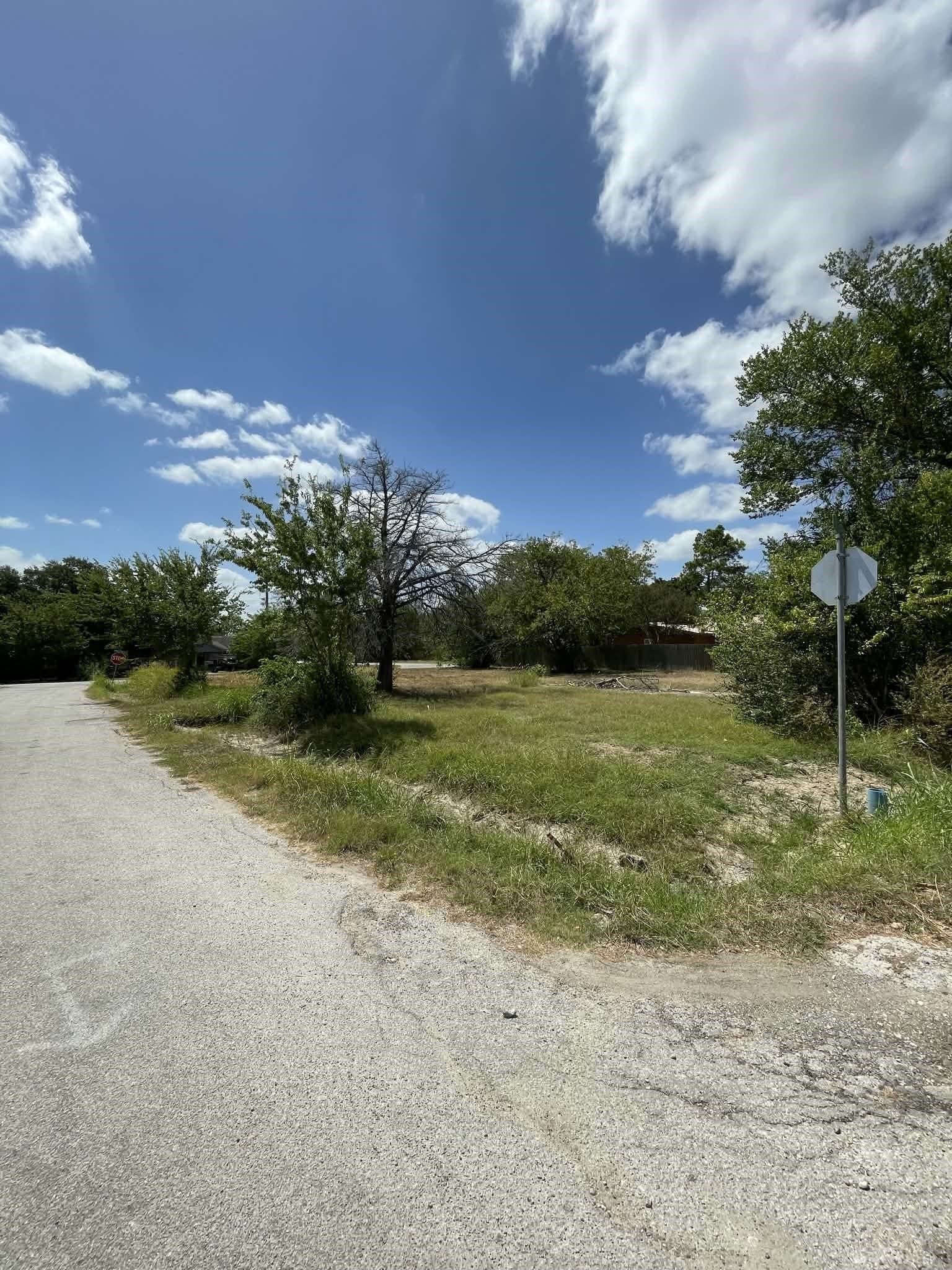 0.26 acres in Limestone County - photo 5
