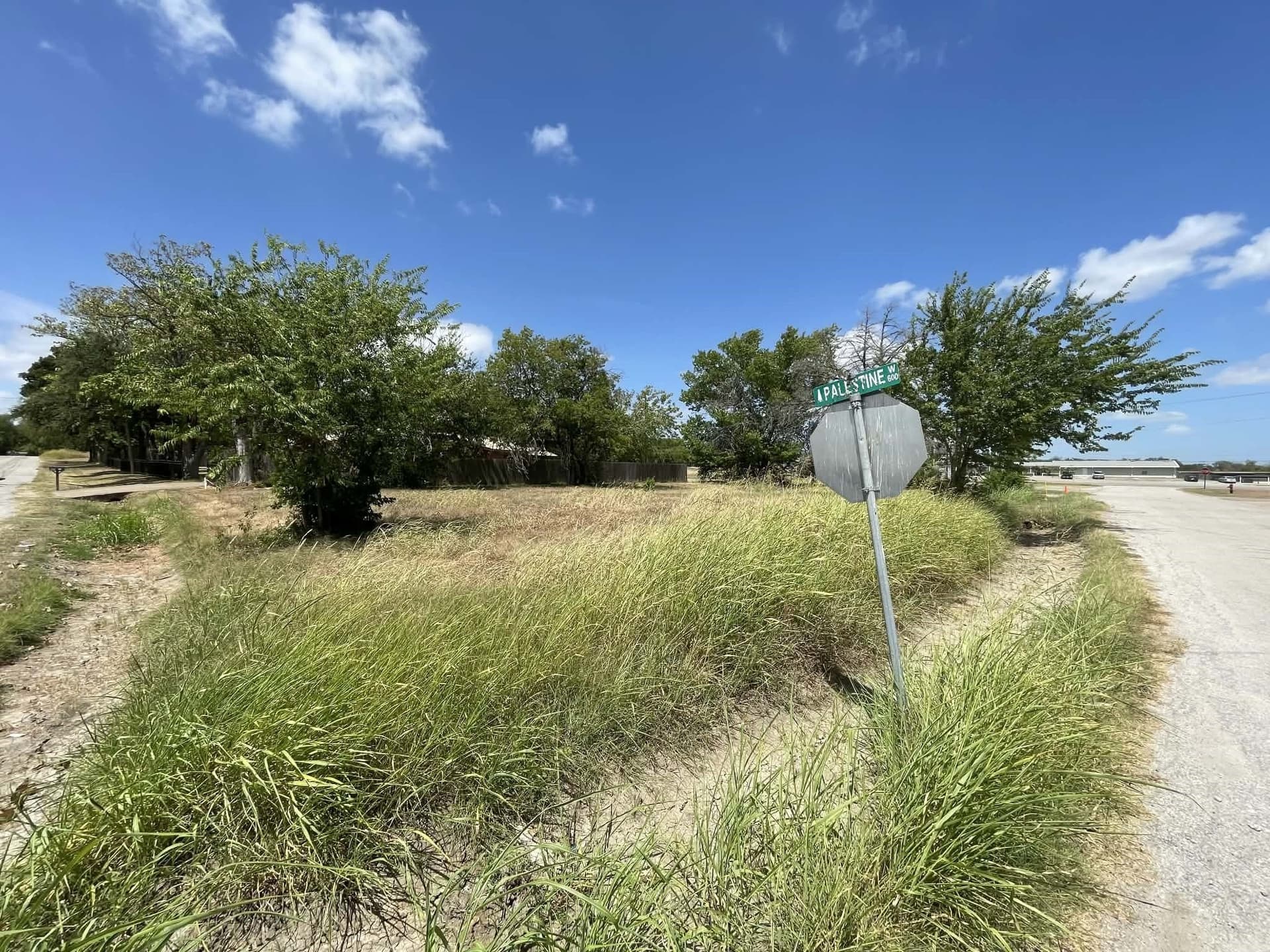 0.26 acres in Limestone County - photo 2