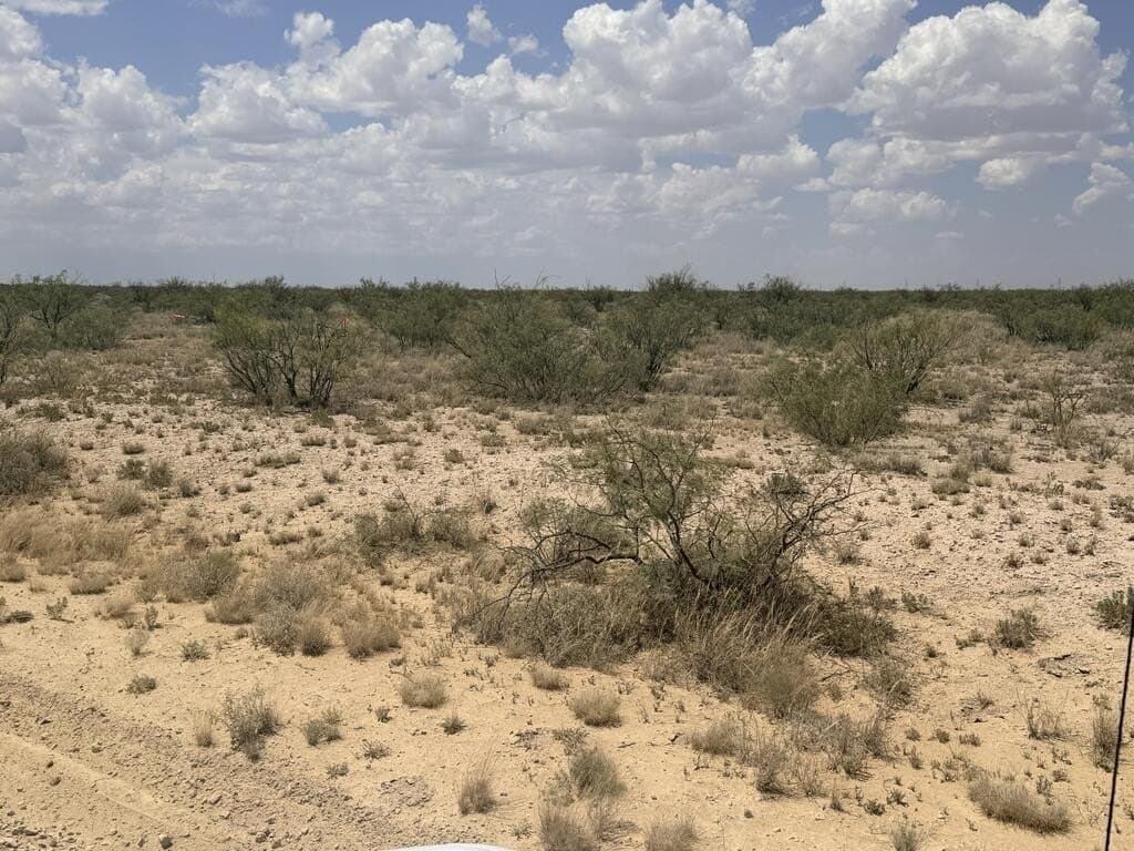50.28 acres in Pecos County - photo 6