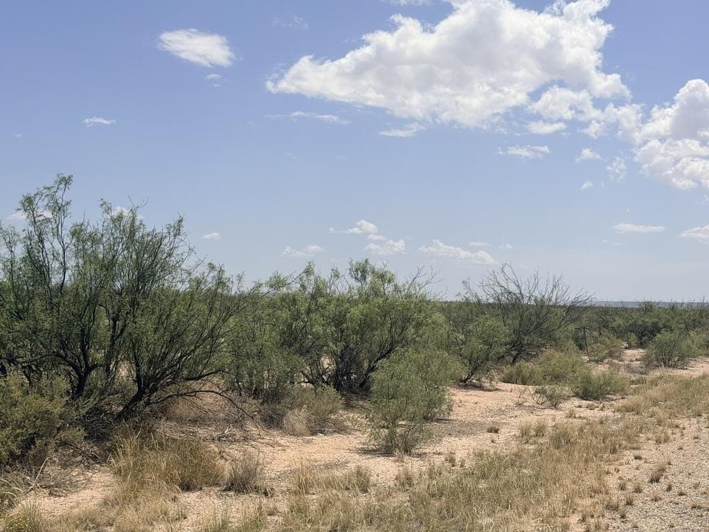 50.28 acres in Pecos County - photo 3