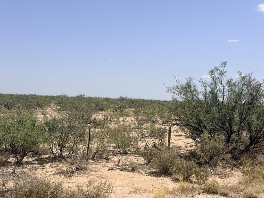 50.28 acres in Pecos County - photo 4