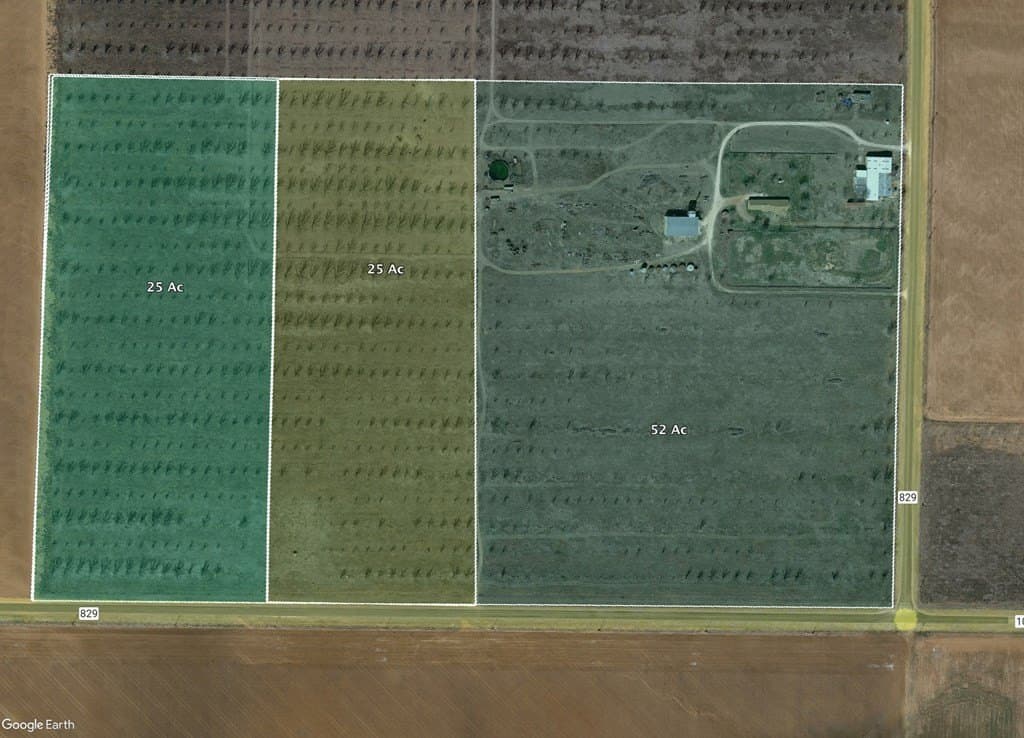 52 acres in Dawson County gallery image 2