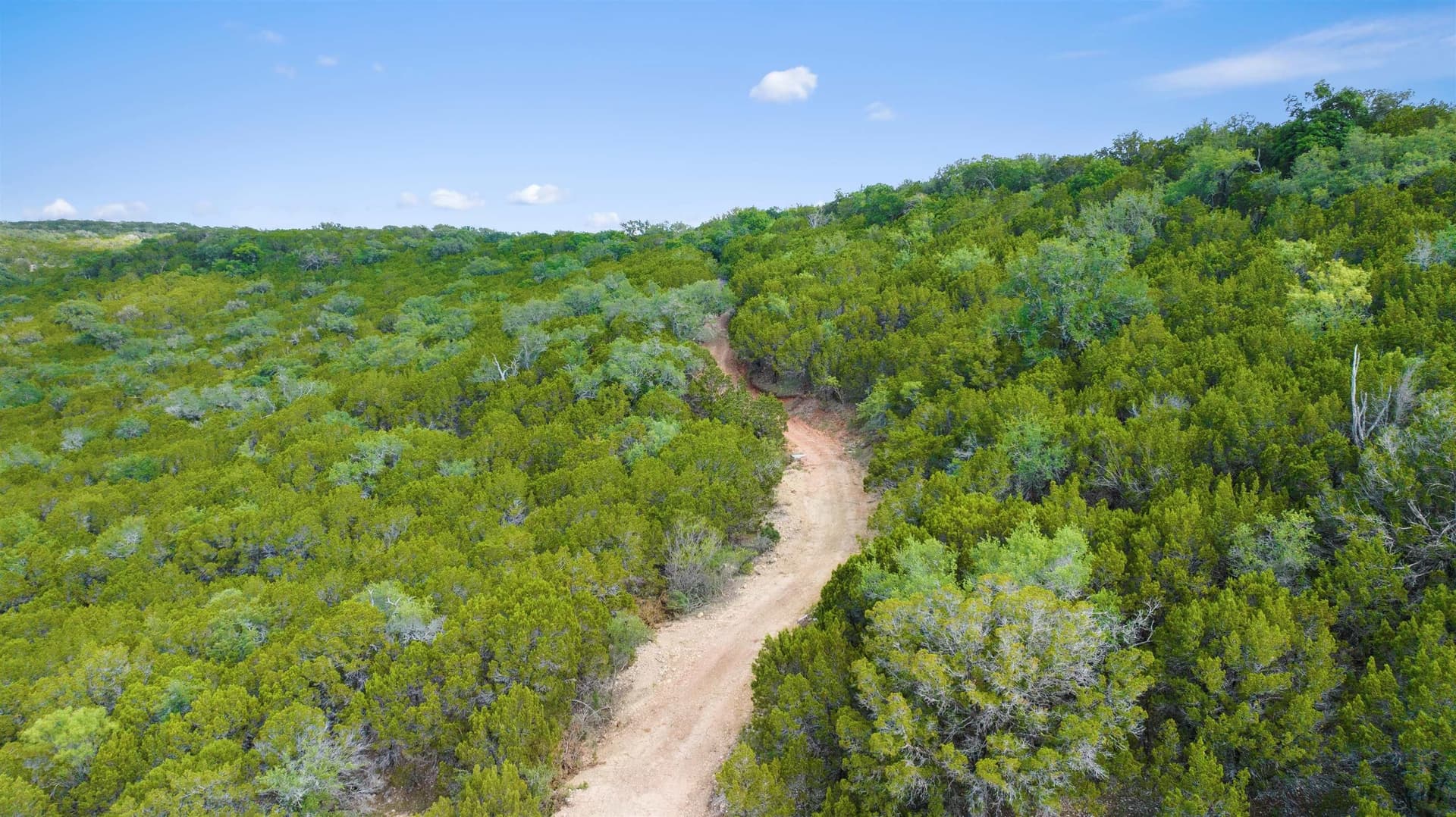 291 acres in Burnet County - photo 8
