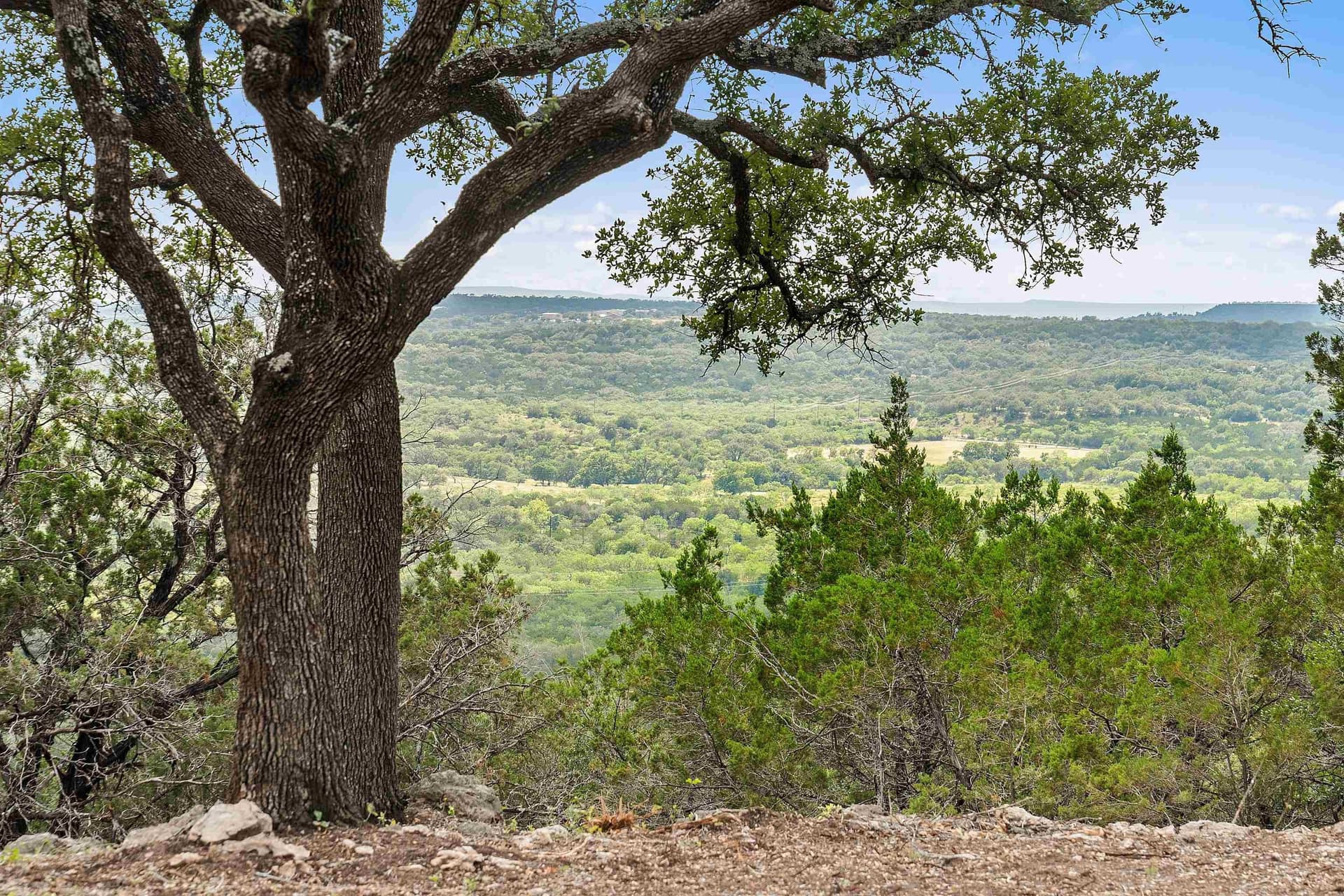 291 acres in Burnet County - photo 5