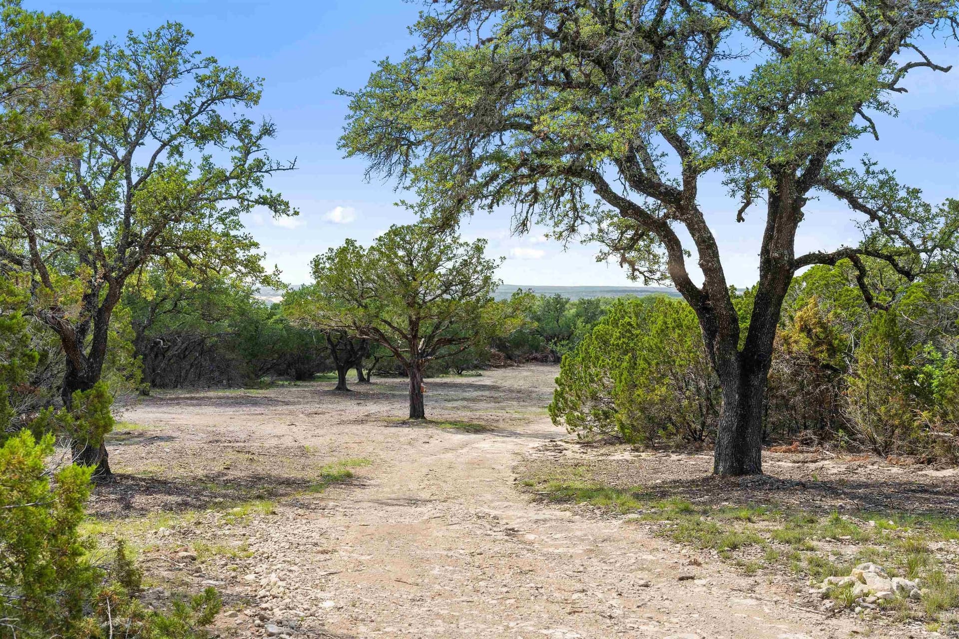 291 acres in Burnet County - photo 21