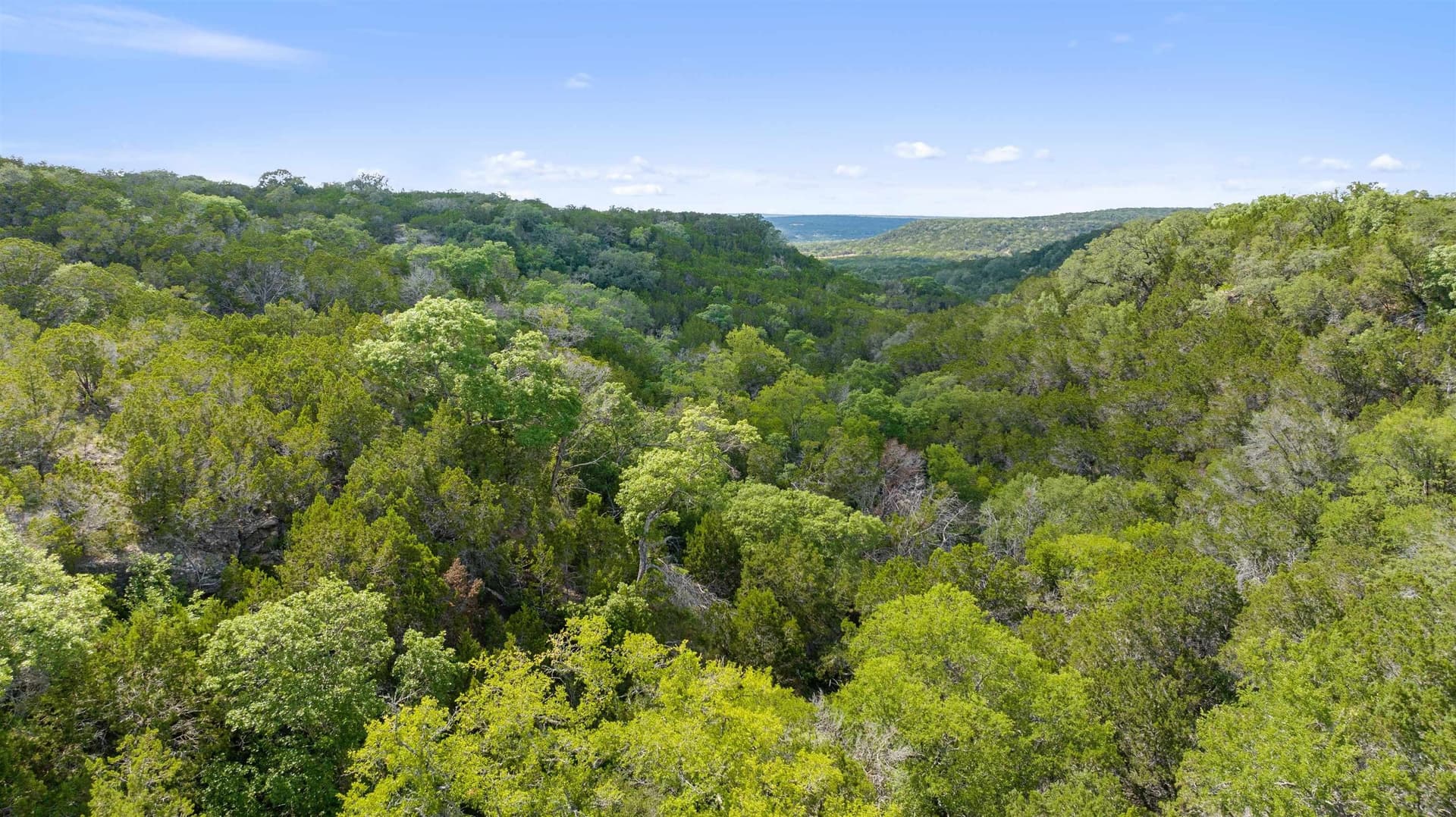 291 acres in Burnet County - photo 12