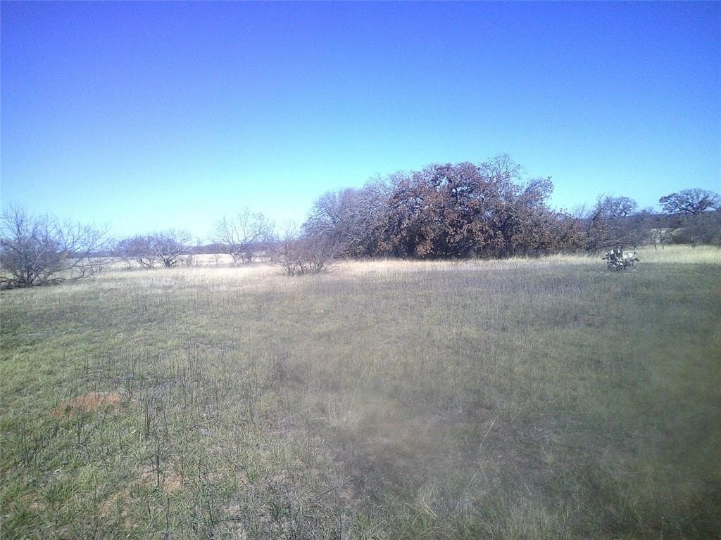 11.03 acres in Wise County gallery image 3