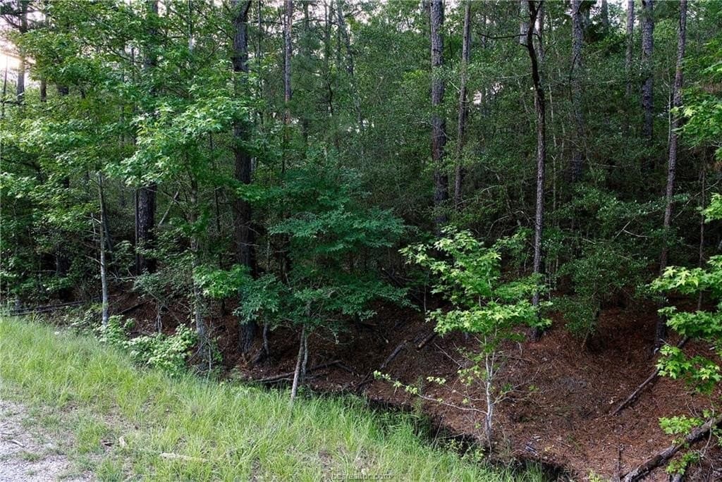 10 acres in Walker County - photo 8