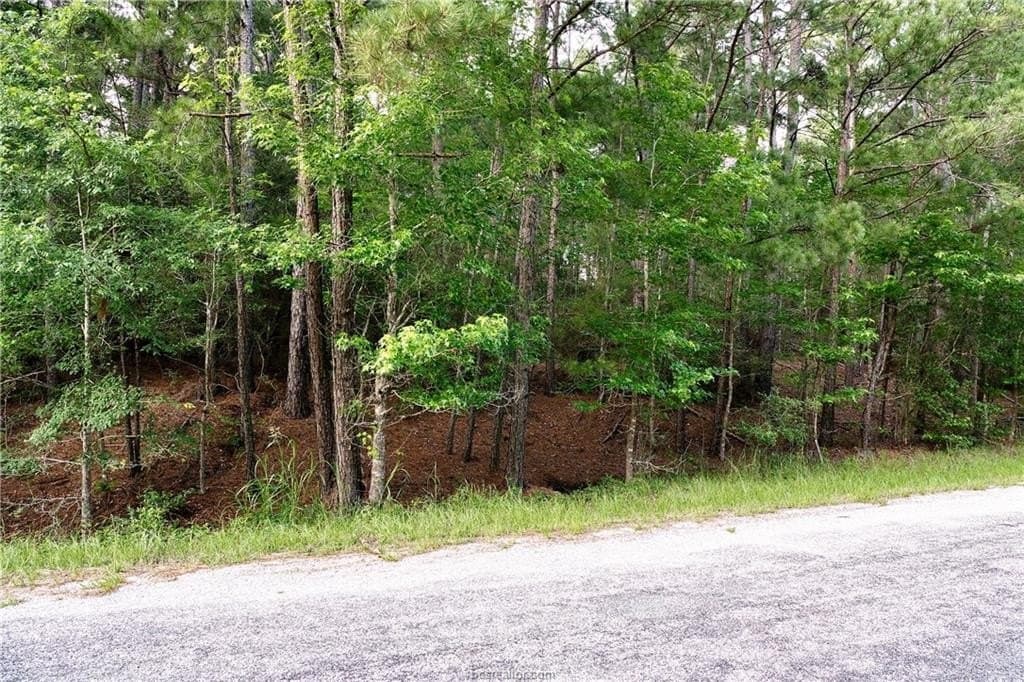 10 acres in Walker County - photo 6