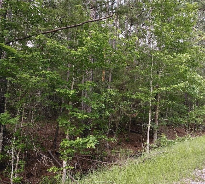 10 acres in Walker County - photo 9
