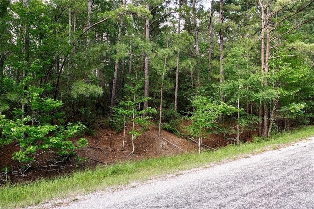 10 acres in Walker County gallery image 3
