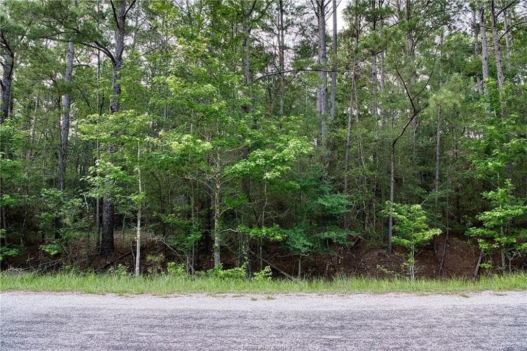 10 acres in Walker County gallery image 4
