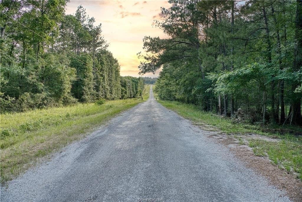 10 acres in Walker County gallery image 2