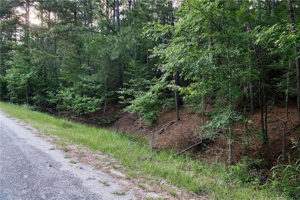 10 acres in Walker County - photo 7