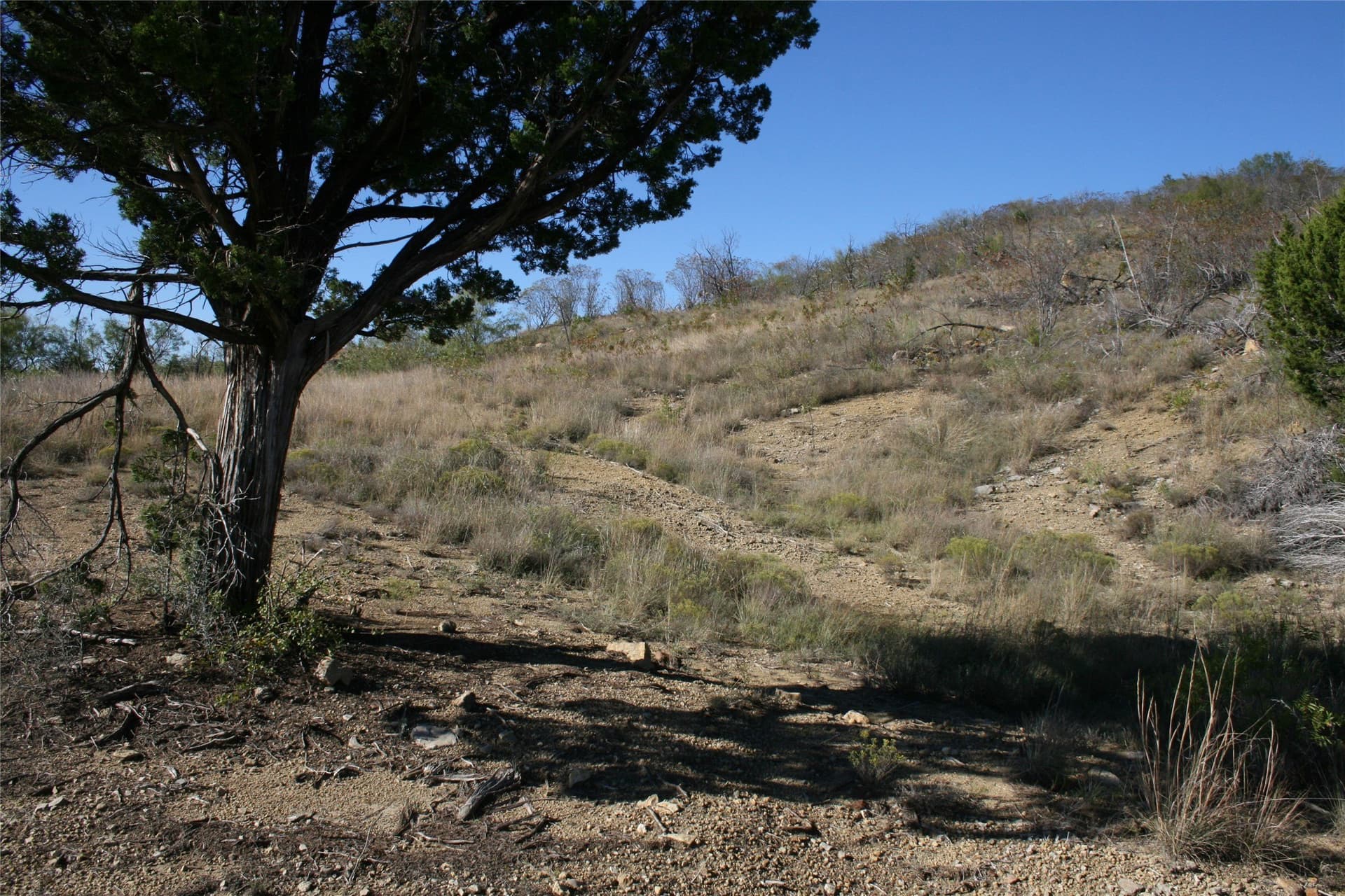 6.73 acres in Palo Pinto County - photo 23
