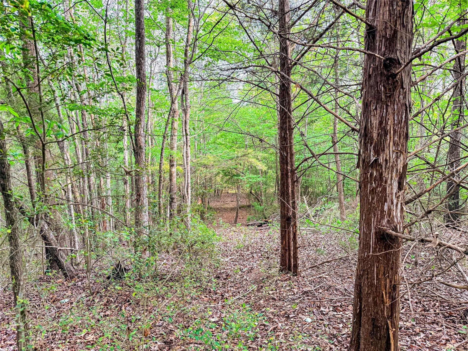22.5 acres in Smith County - photo 29