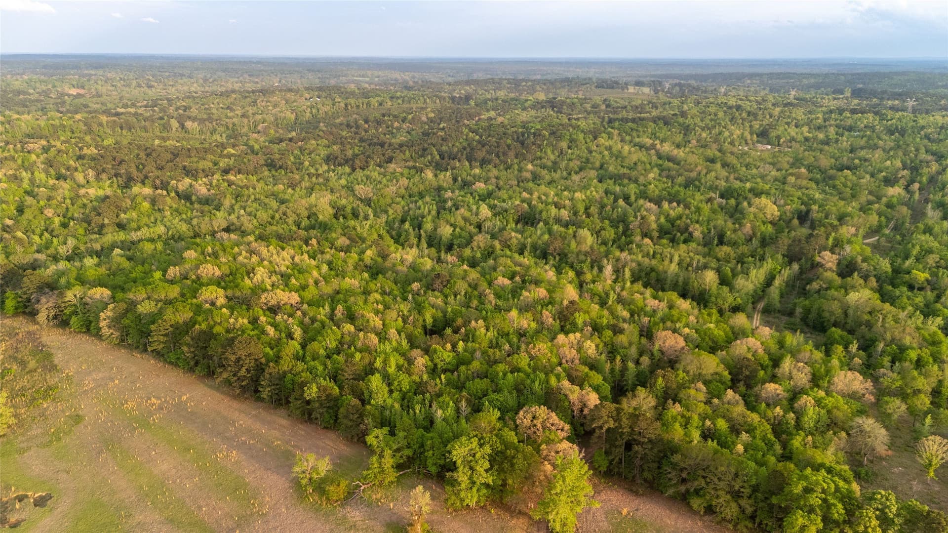 22.5 acres in Smith County - photo 11