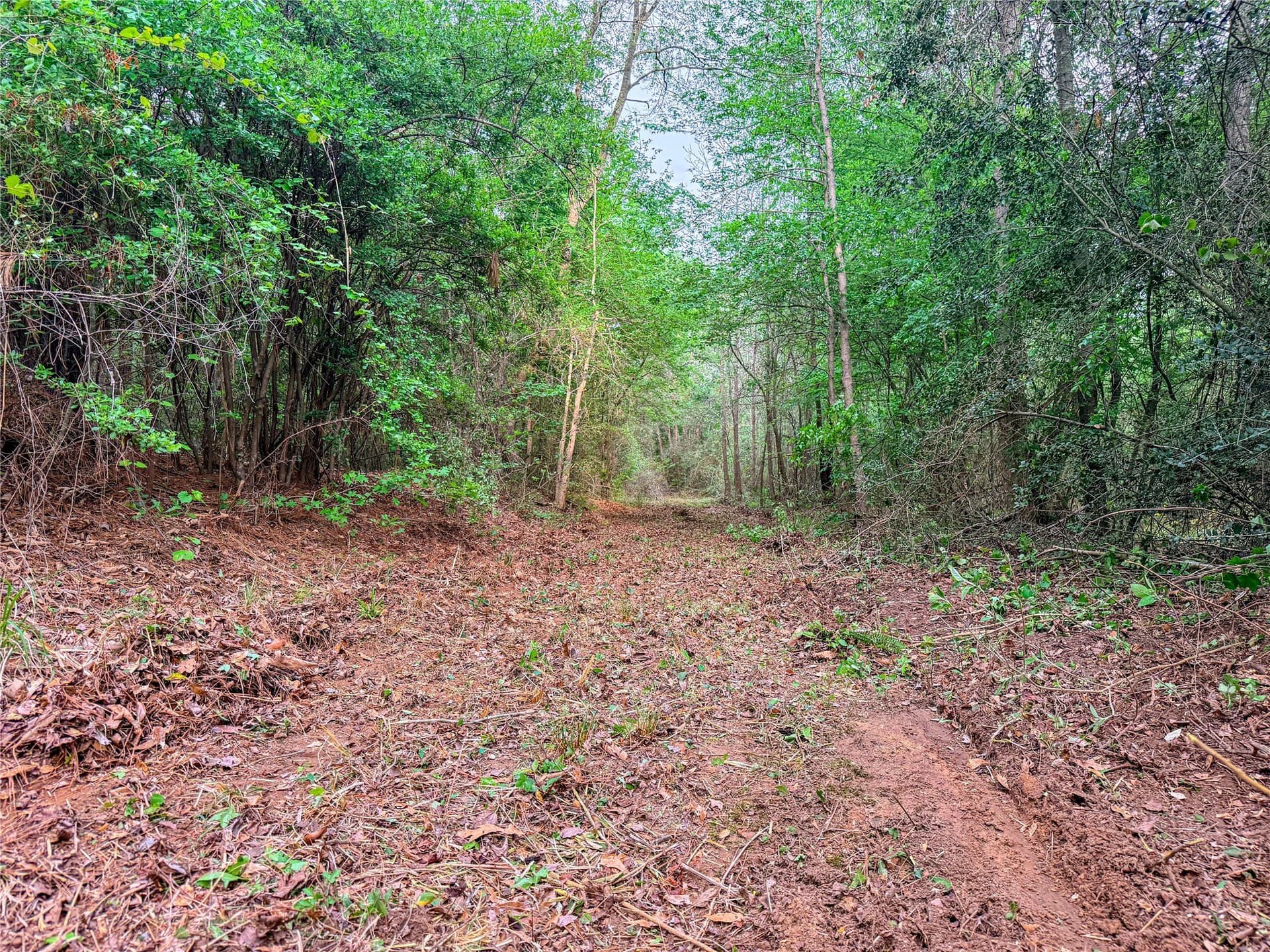 22.5 acres in Smith County - photo 24