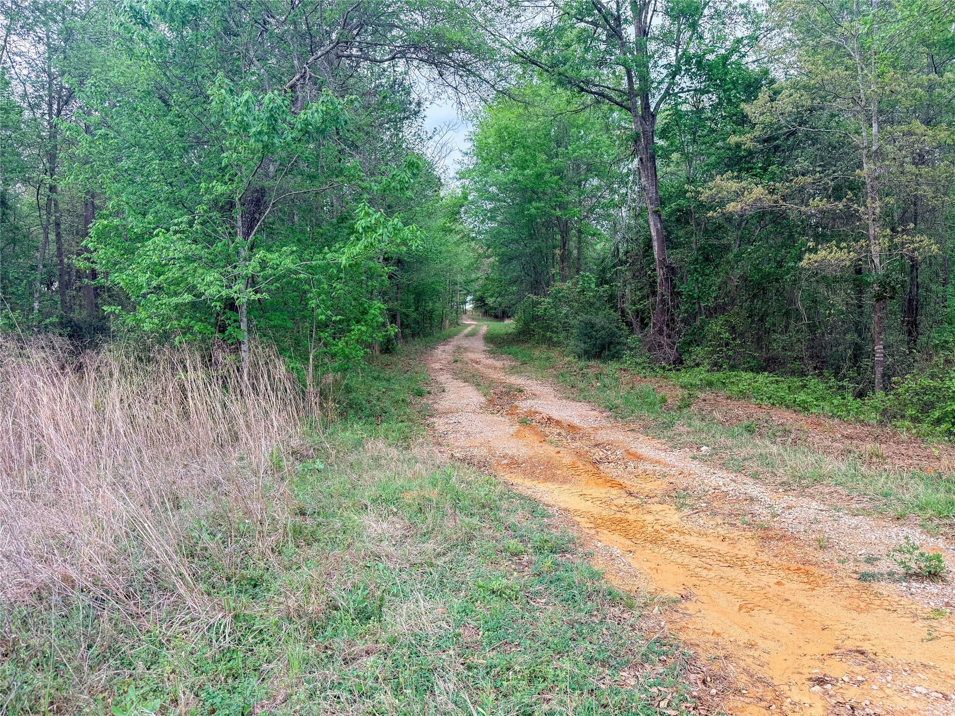 22.5 acres in Smith County - photo 23