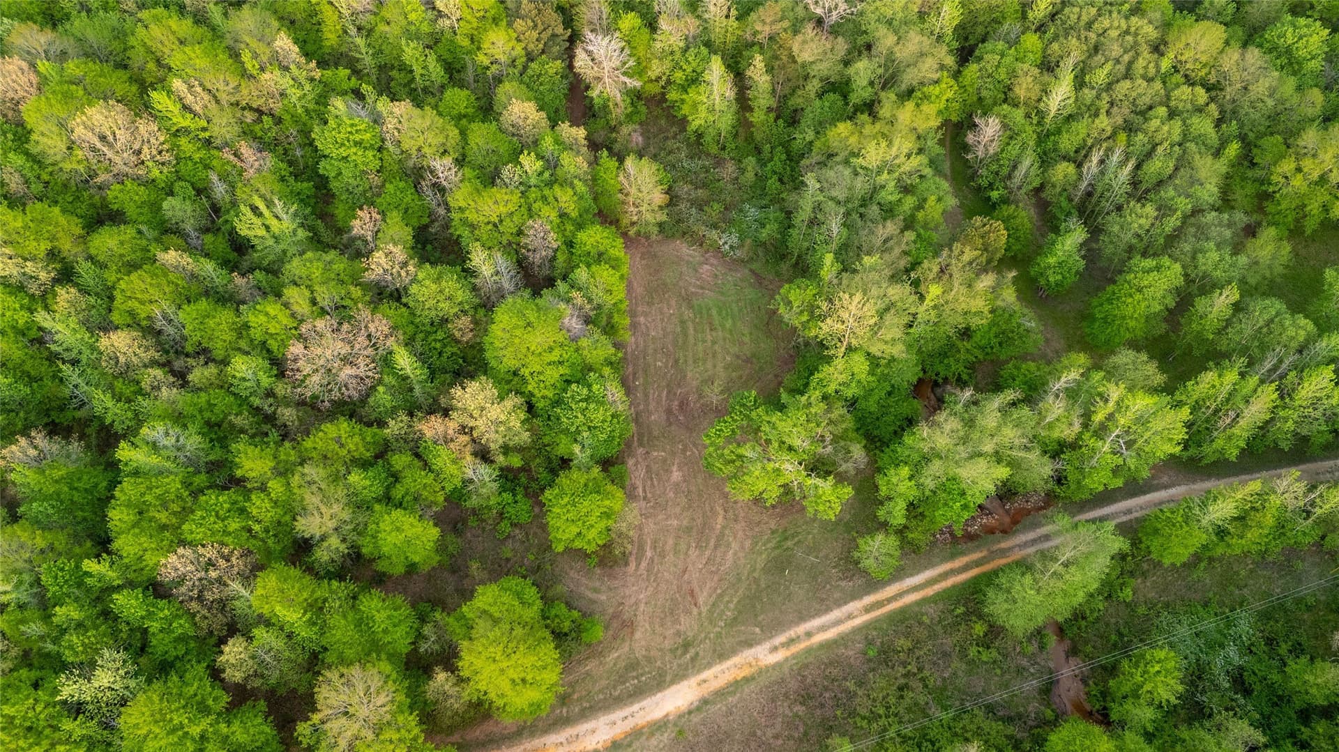 22.5 acres in Smith County - photo 14