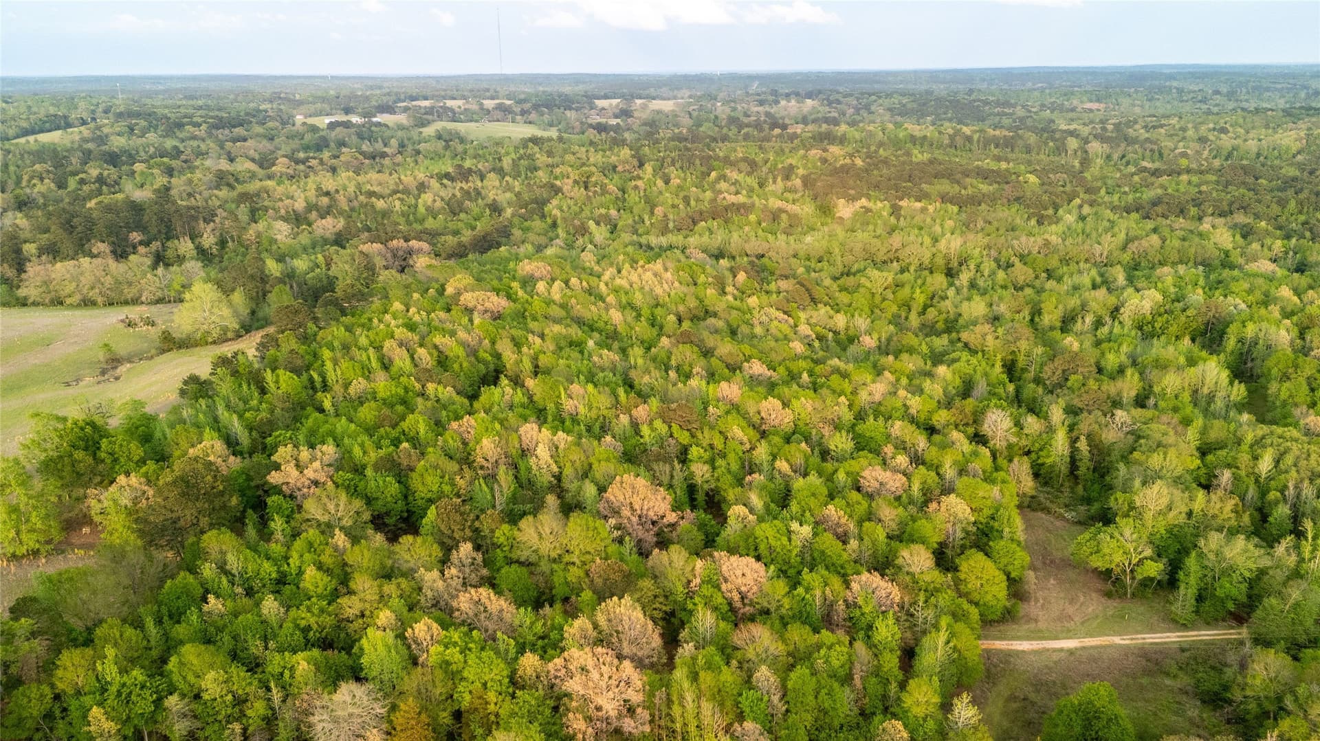 22.5 acres in Smith County - photo 13
