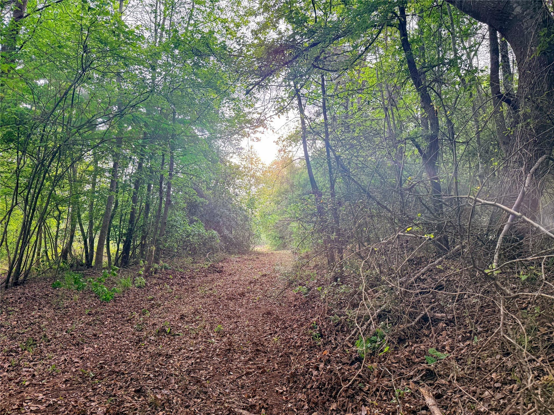 22.5 acres in Smith County - photo 26