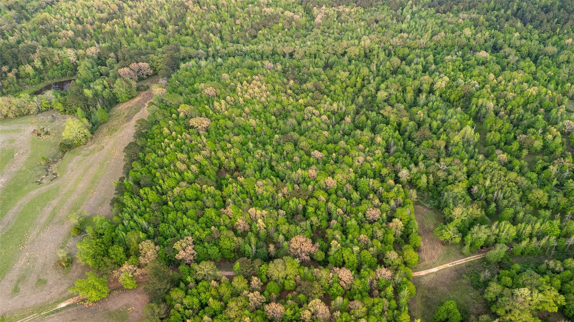 22.5 acres in Smith County - photo 12