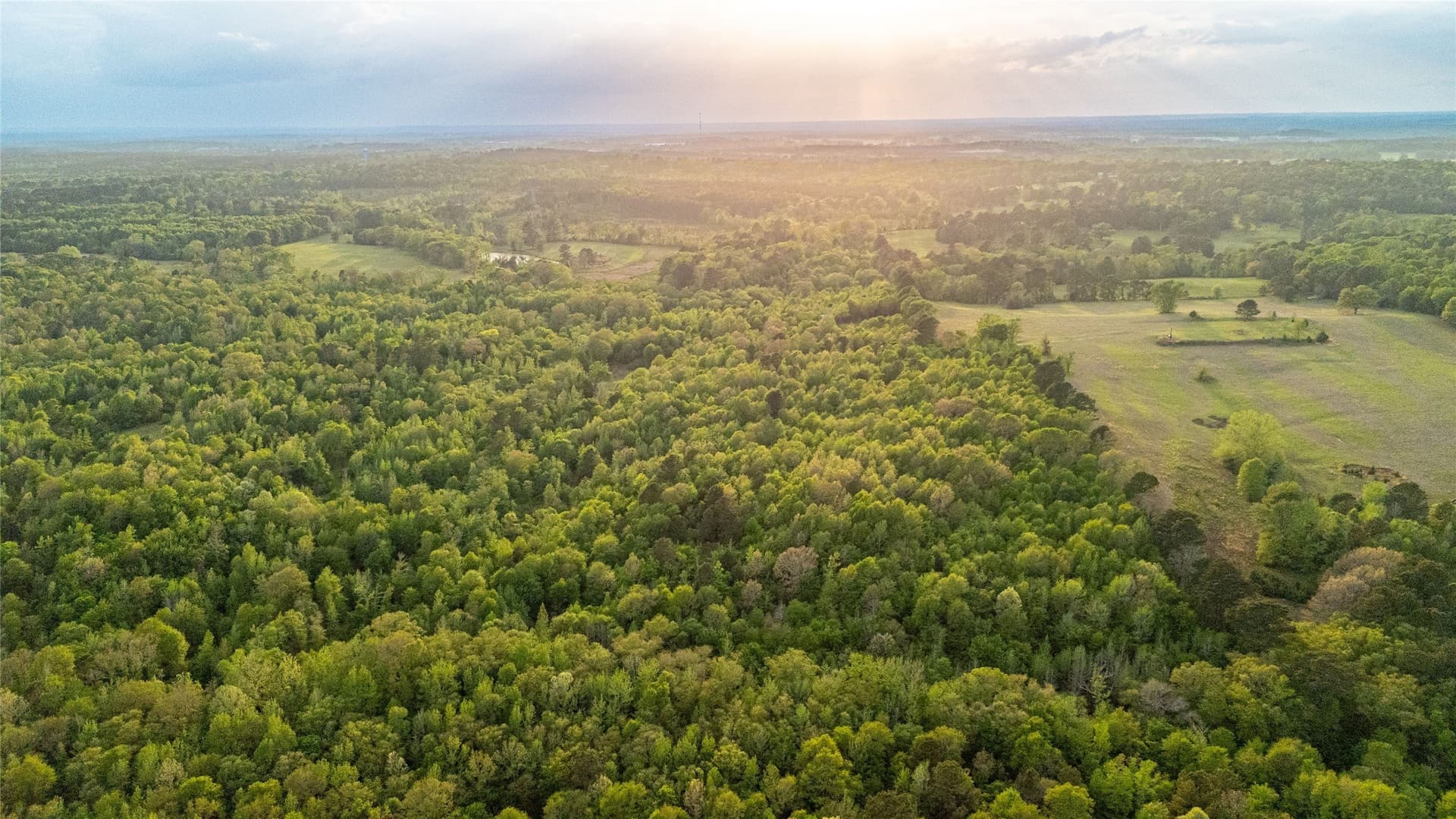 22.5 acres in Smith County - photo 9