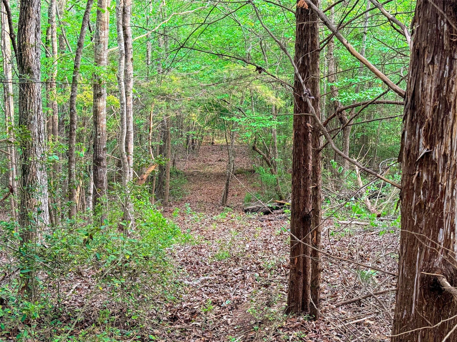 22.5 acres in Smith County - photo 28
