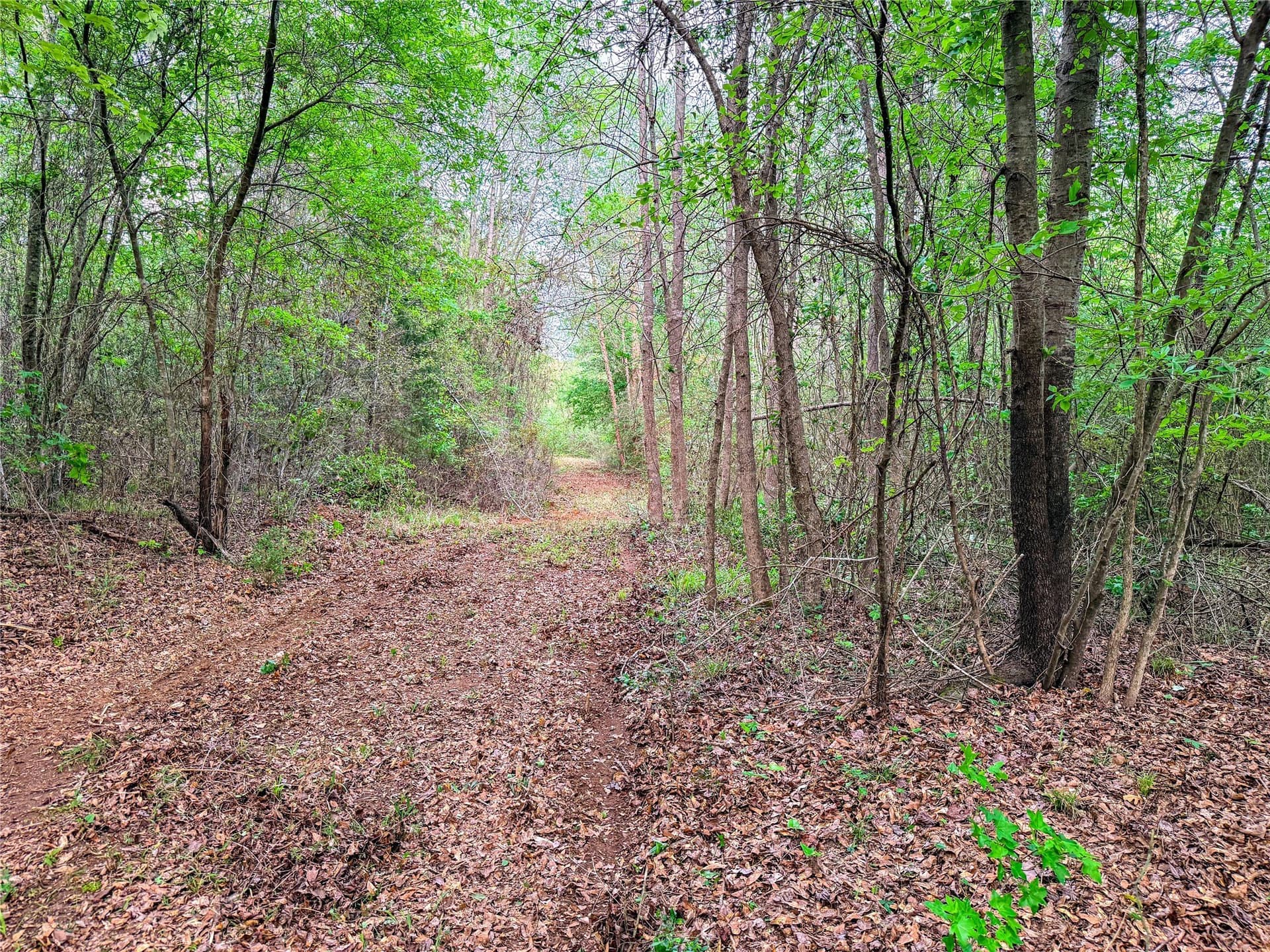 22.5 acres in Smith County - photo 34