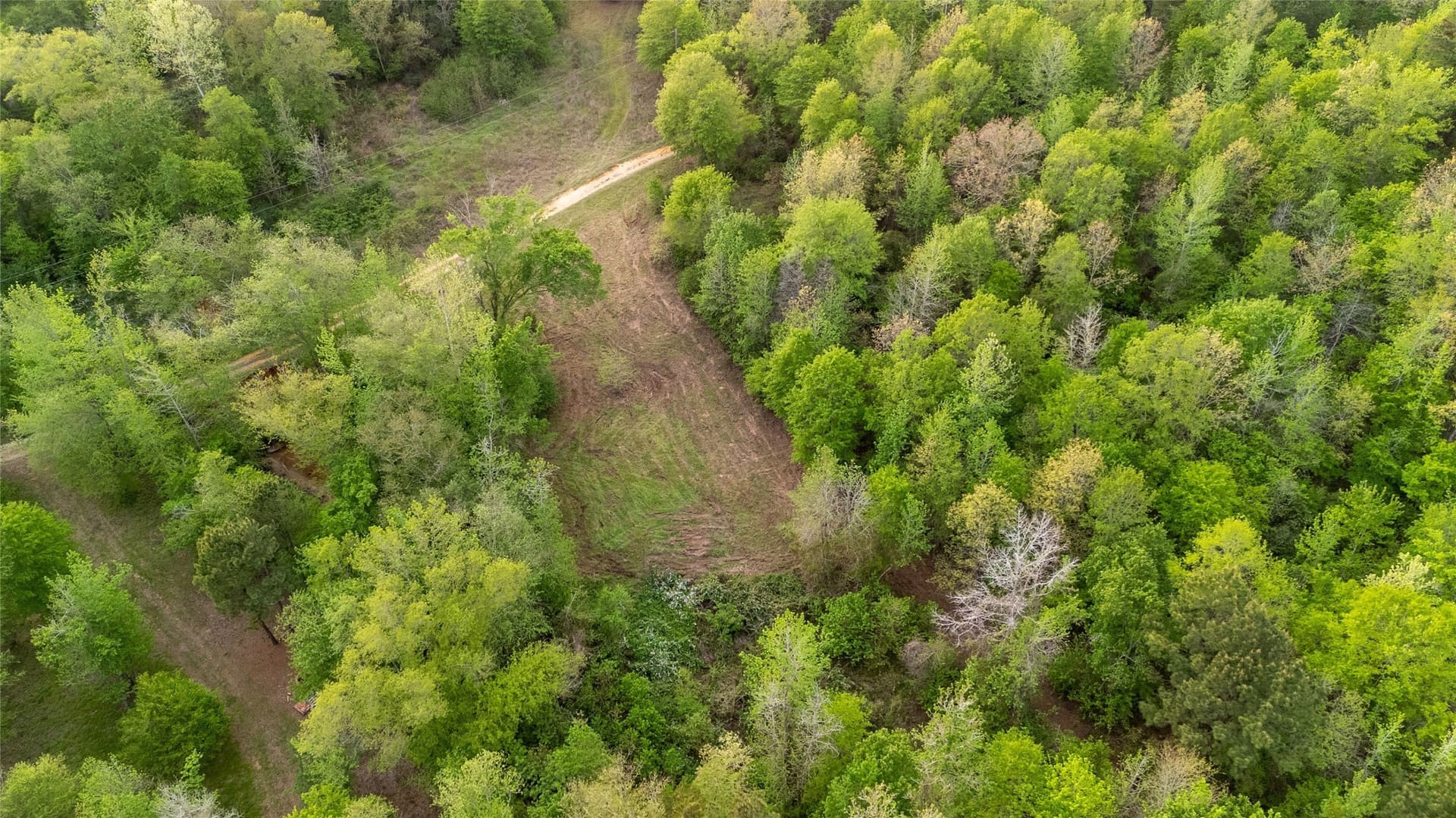 22.5 acres in Smith County - photo 6