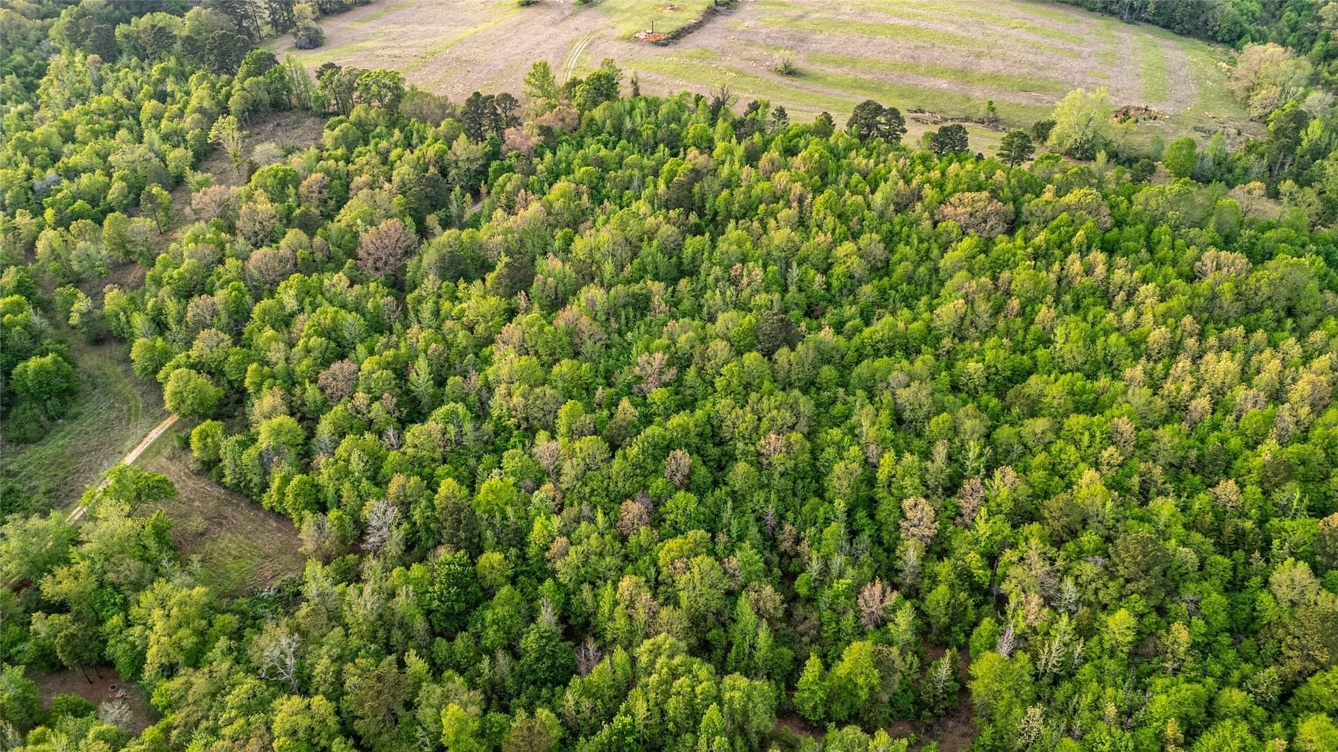 22.5 acres in Smith County - photo 7