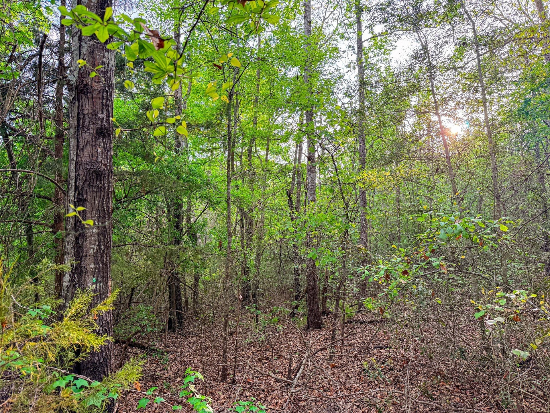 22.5 acres in Smith County - photo 33