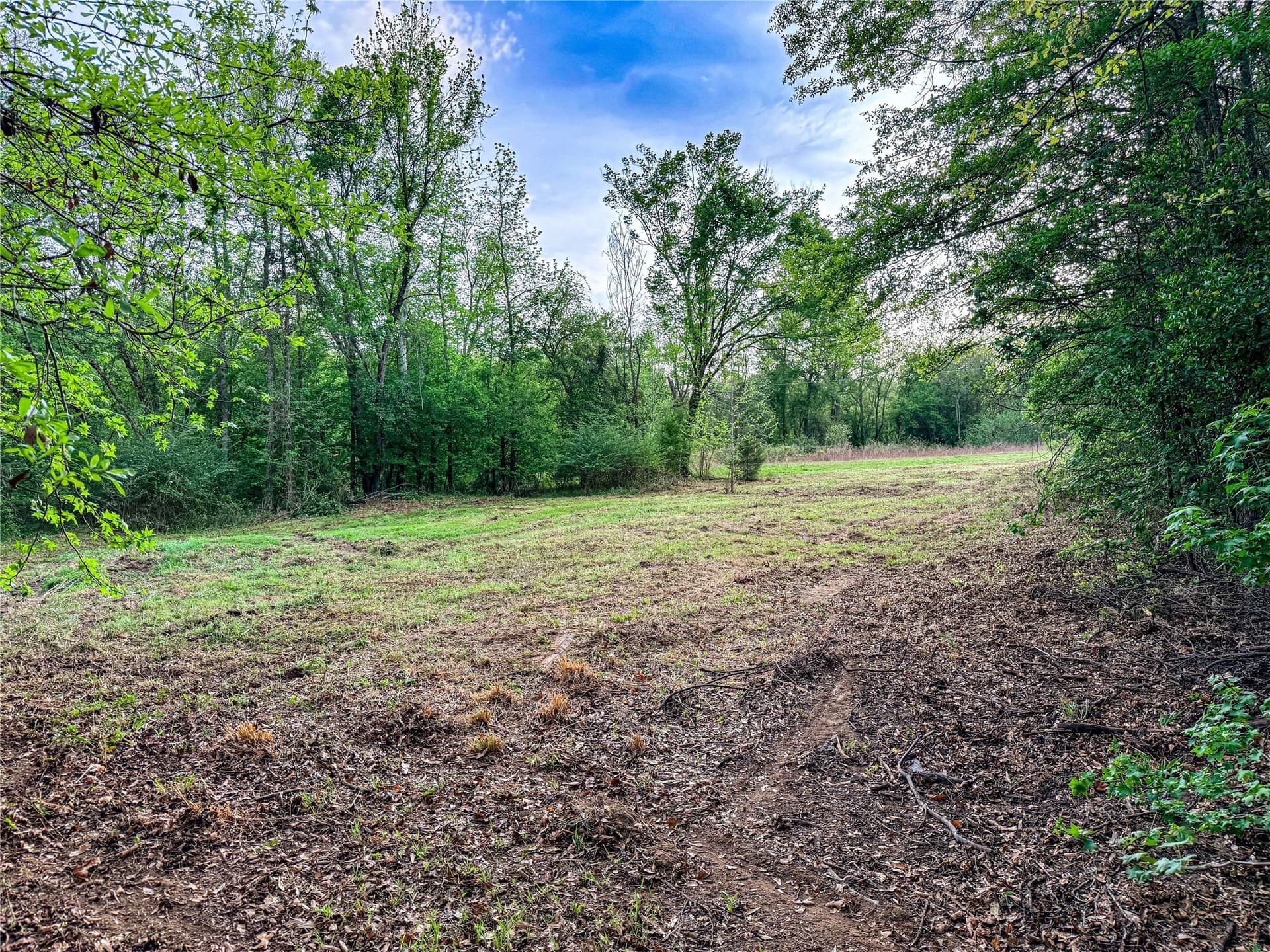 22.5 acres in Smith County - photo 35