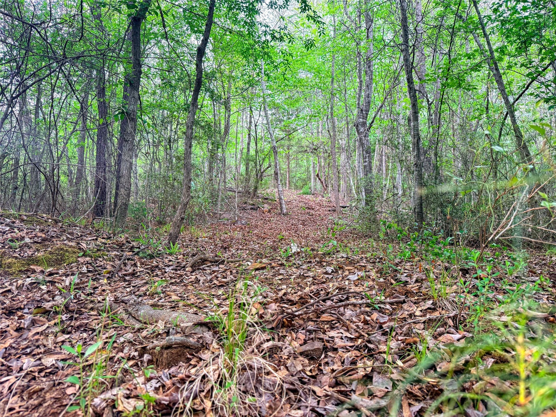 22.5 acres in Smith County - photo 25