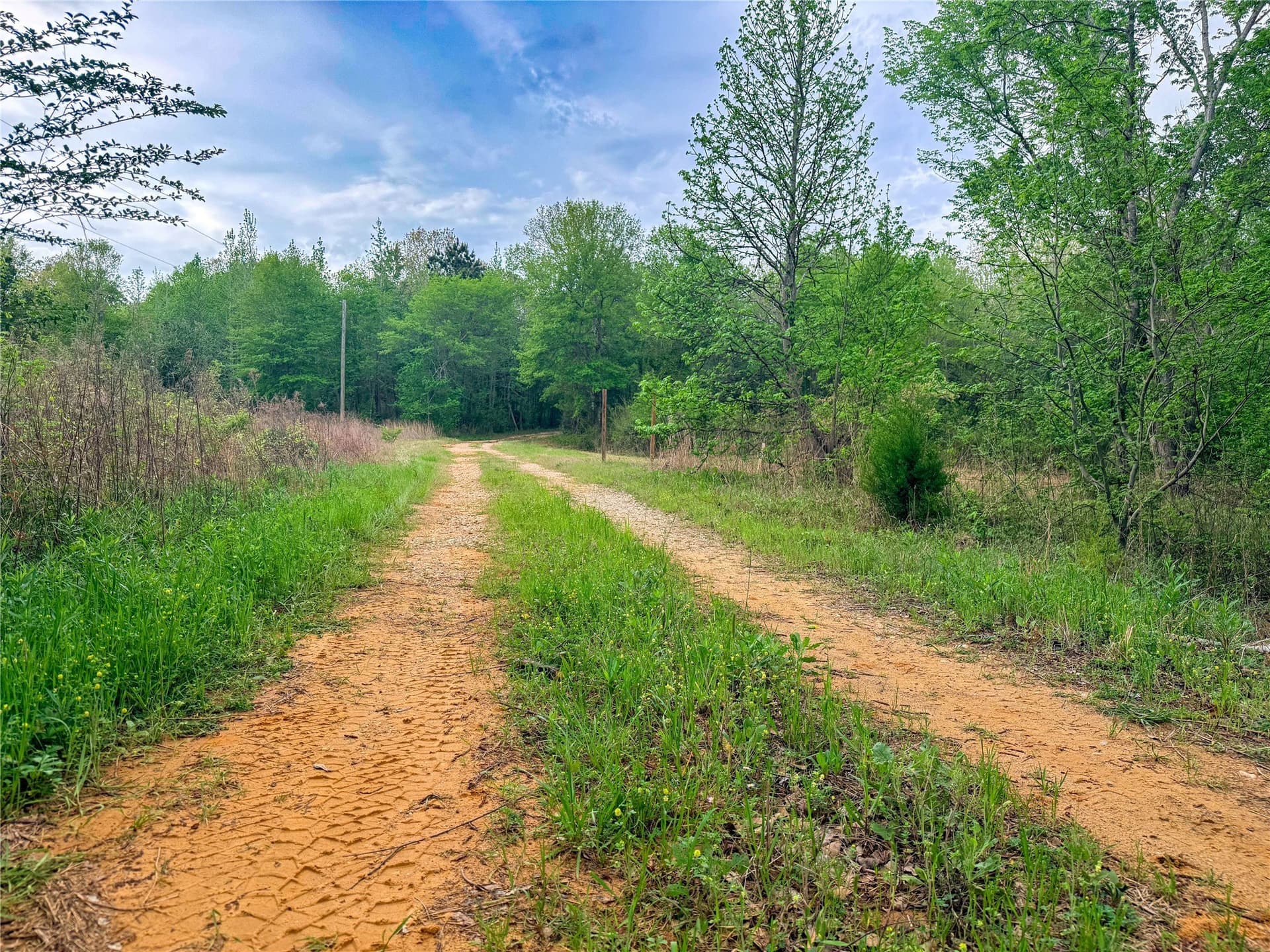 22.5 acres in Smith County - photo 21