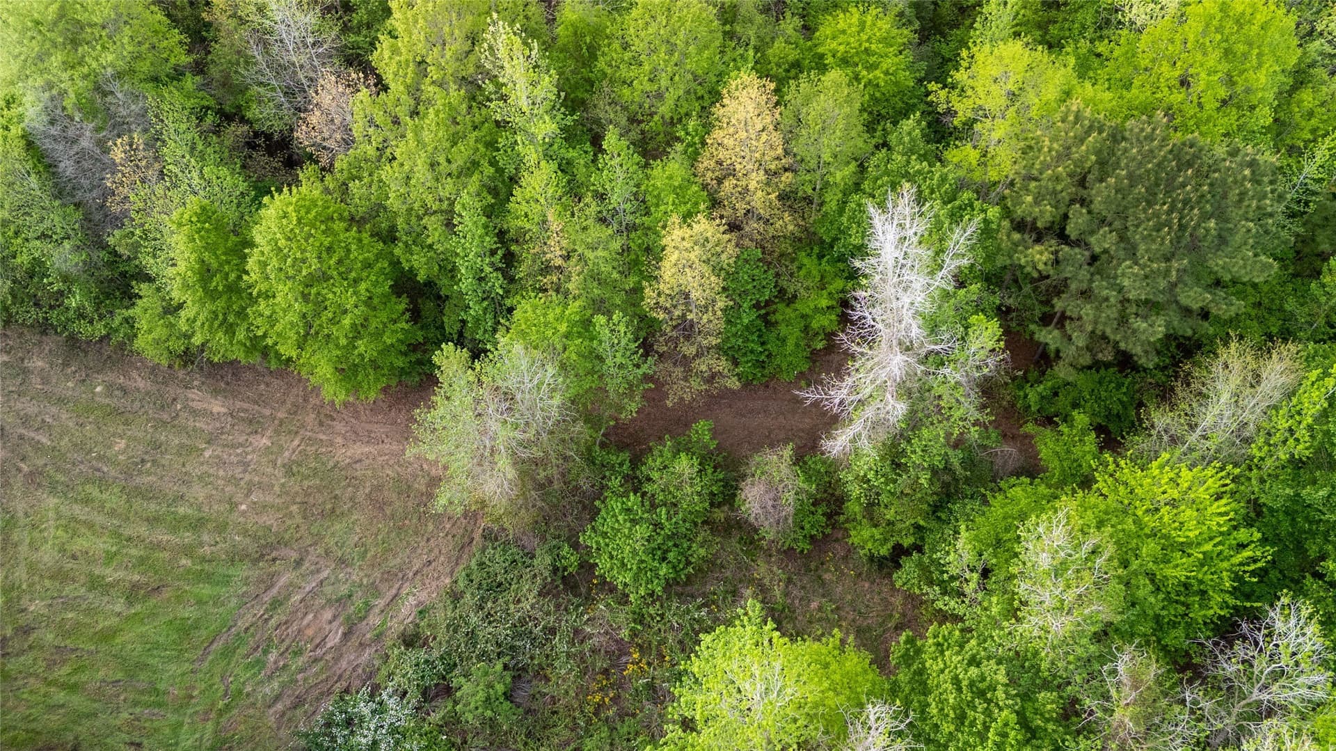22.5 acres in Smith County - photo 15
