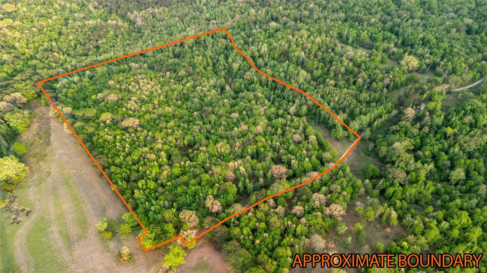 22.5 acres in Smith County - photo 4
