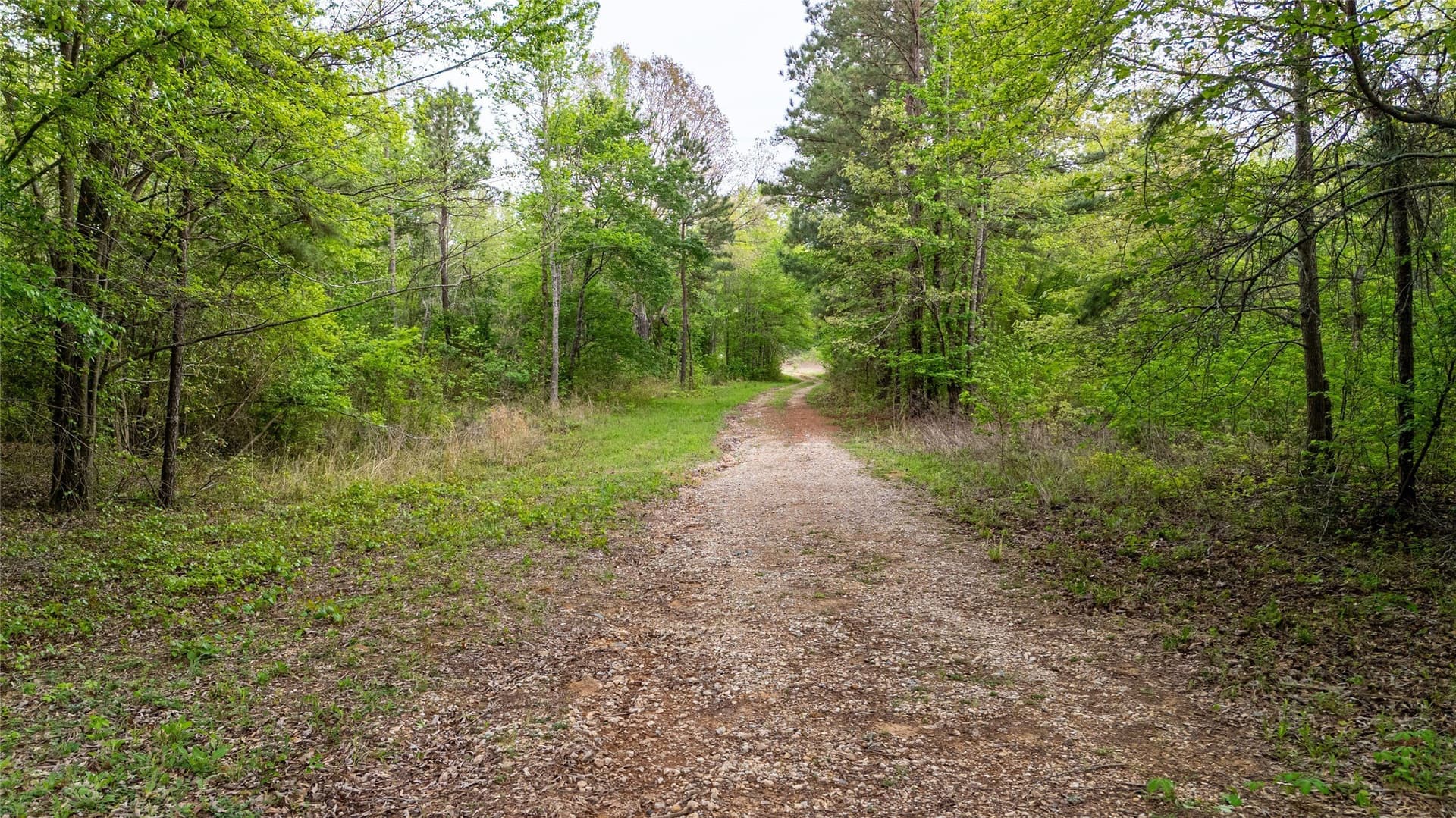 22.5 acres in Smith County - photo 20
